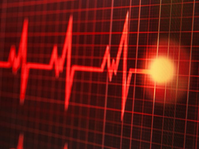 Photo taken of a heartbeat on the monitor Die Herstellung von Organmodellen mit realitätsnahen Materialeigenschaften ist das Ziel eines jetzt an der Karl Landsteiner Privatuniversität für Gesundheitswissenschaften gestarteten Forschungsprojekts. (c) evryka23/Fotolia