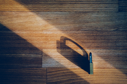 Security, Schatten-IT Schatten-IT muss nicht immer etwas Negatives sein: Bis zu einem gewissen Grad bringt die Nutzung von Cloud-Services ohne Zutun der IT sogar finanzielle Vorteile. (c) Fotolia/Jonathan Schöps