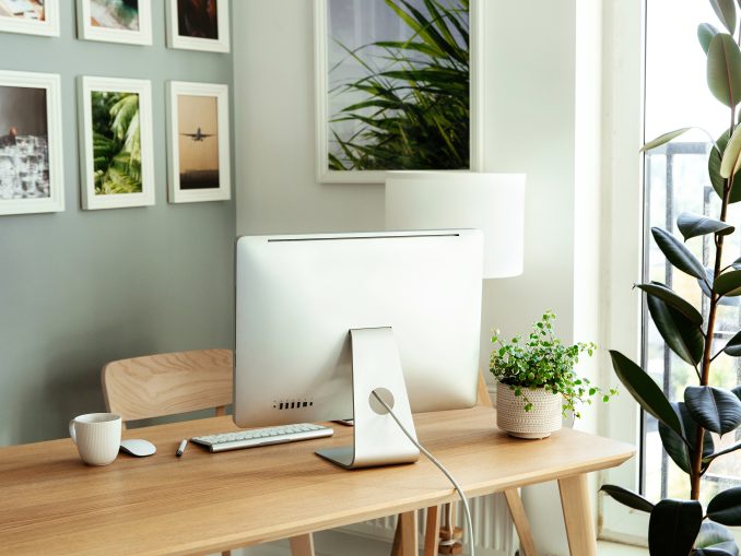 Work from home: cozy workplace for freelancer, programmer with computer, keyboard, mouse and plants
