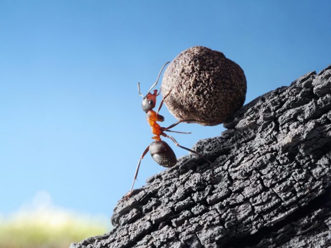 Kraft_02_© Antrey - Fotolia Die Idee, Storytelling zu verwenden, um Inhalte und Botschaften zu vermitteln, kommt ursprünglich aus dem Marketing. (c) Antrey - Fotolia