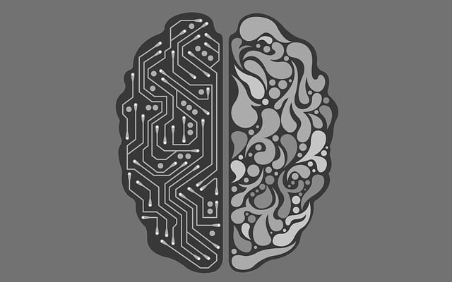 artificial-intelligence-gc85fdd5cf_640