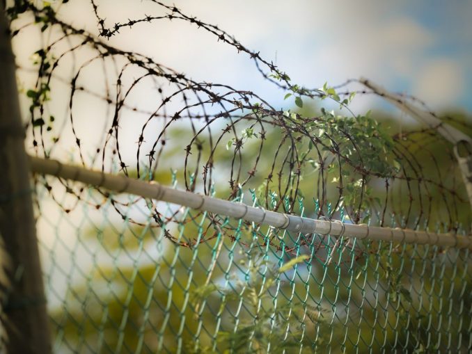 barbed-wire-600471_1920