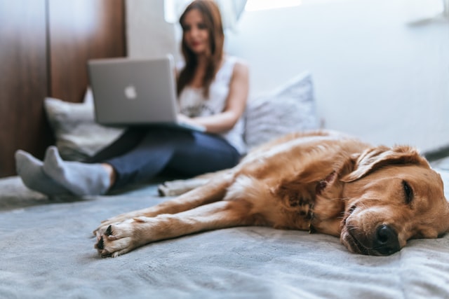 bruno-emmanuelle-azsk_6IMT3I-unsplash Rund 14 Prozent der gesamten Einzelhandelsausgaben der österreichischen Privathaushalte fließen bereits in den Onlinehandel. (c) Unsplash