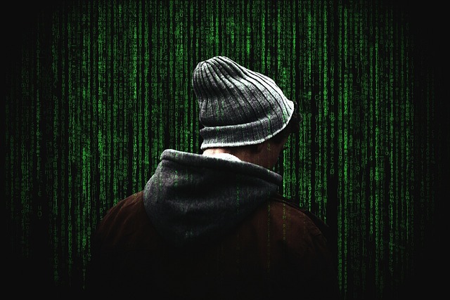 cyber-security-g53c249d79_640