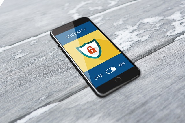 cyber-security-g8732c4d07_640