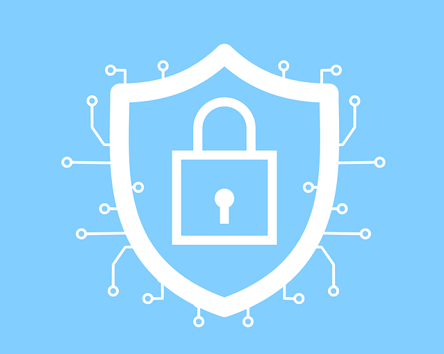 cybersecurity-g3811bfcdc_640