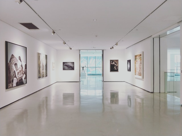 dannie-jing-3GZlhROZIQg-unsplash „Ungleichheit, die in unserer Gesellschaft existiert, setzt sich auch in den Museen fort.“ (c) Unsplash