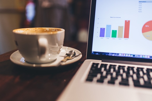 dataanalysis_coffeecup_laptop_data_by_stocksnapPixabay