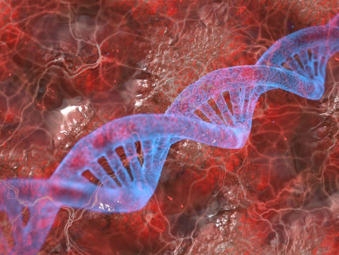 dna-4334173_1920