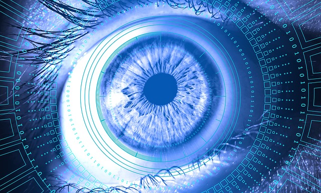 eye-g0098b2ad5_640