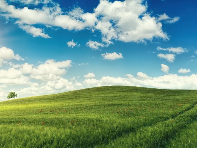 field-5236879_1920