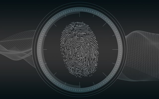fingerprint_cybersecurity_by_petelinforthPixabay