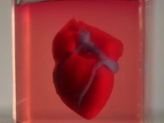 Israelische Forscher haben ein Herz aus menschlichem Gewebe in einem 3D-Drucker hergestellt. (c) Tel Aviv University