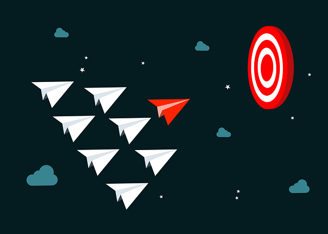leadership_paperairplane_target_by_mohamedHassanPiaxabay