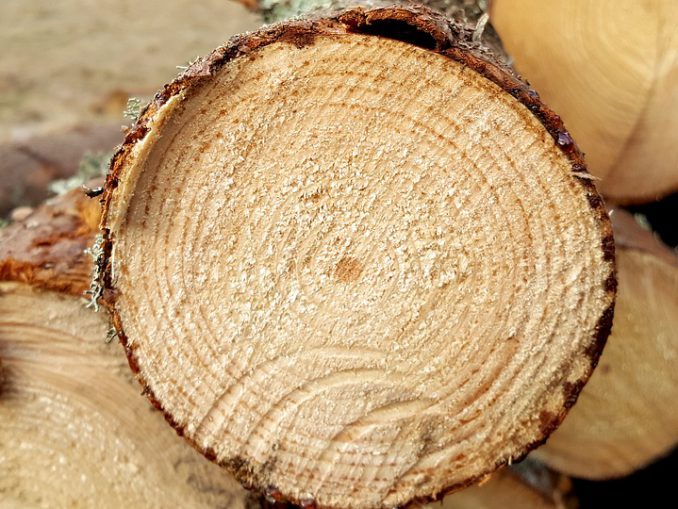 logs-2080858_960_720