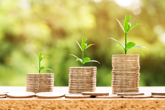 money_coins_saplings_growth_by_nattanankanchanapratPixabay