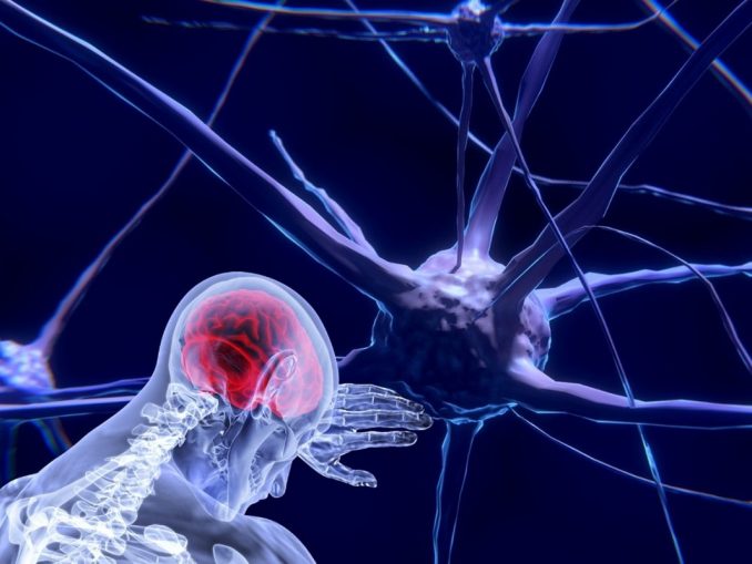 neurons-3743011_1280 Hochsensible Informationen können dank MIT-Entwicklung sicher und in großem Umfang gesammelt werden. (c) pixabay