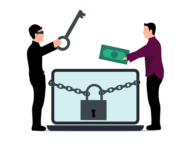 ransomware_vector_handingover_by_mohamedHassanPixabay