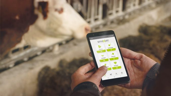 Dank der präzisen Gesundheitsüberwachung von smaXtec können Landwirte und Lanwirtinnen die Tiergesundheit verbessern. (c) smaXtec / Michael Ferlin-Fiedler