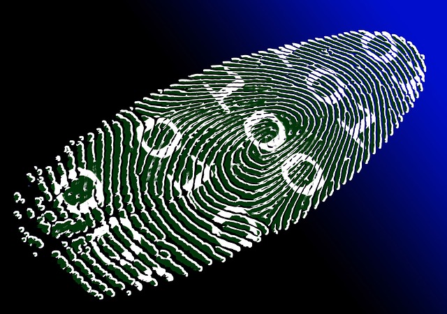 virtual-identity-g7b7e9c6eb_640